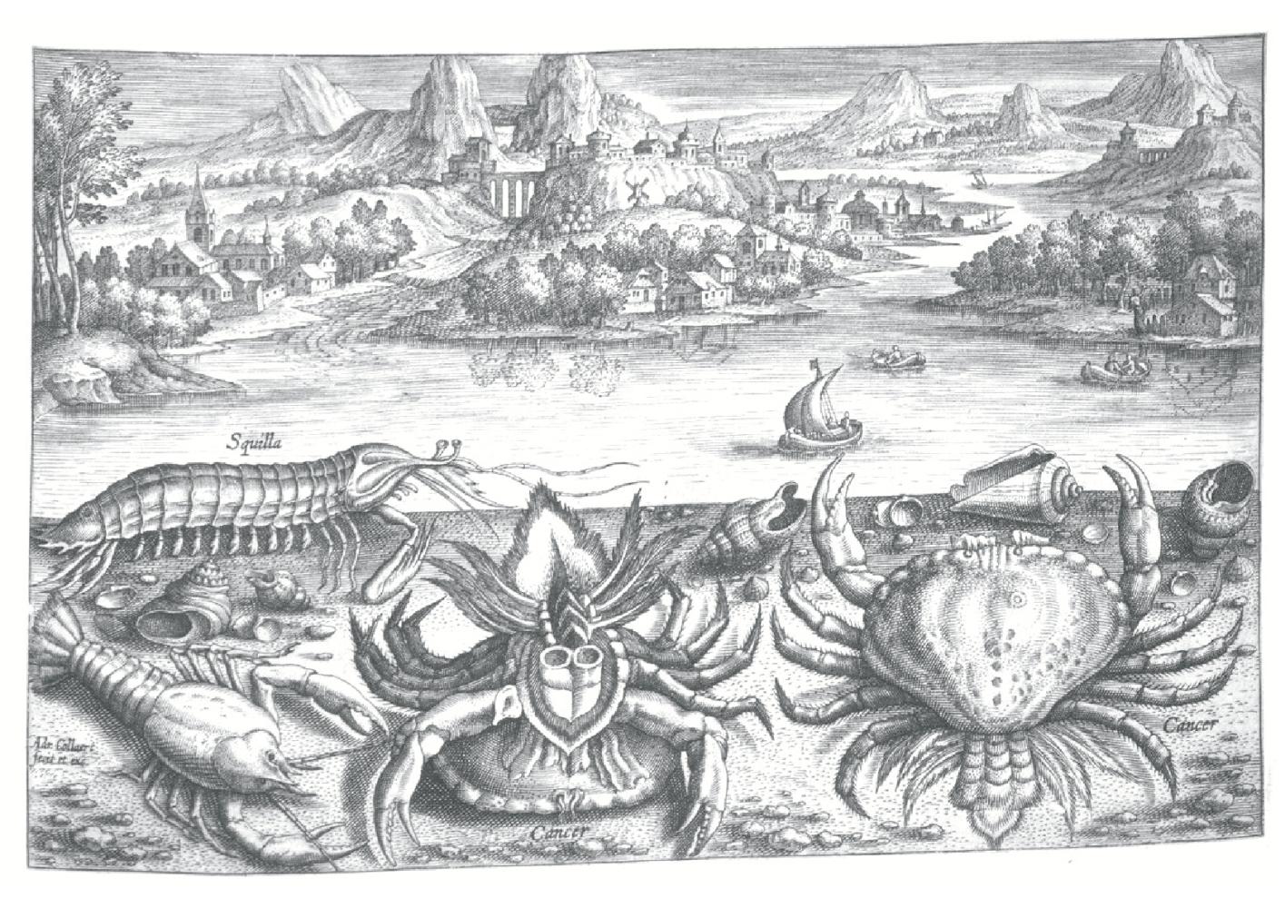 Adriaen Collaert, Twee krabben, een kreeft en een garnaal (1600), Museum Plantin-Moretus, Antwerpen