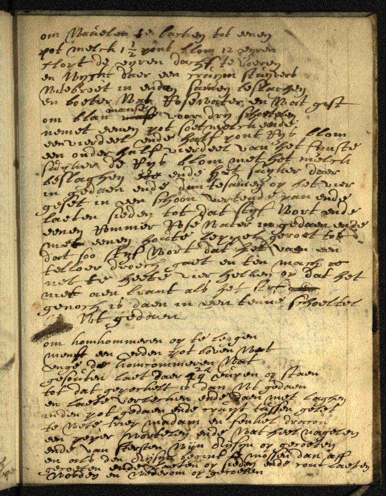 Recepten van Maria de Sweert om wafels te bakken en komkommers op te leggen, ca. 1650 (MPM. Arch. 1117, p. 142)
