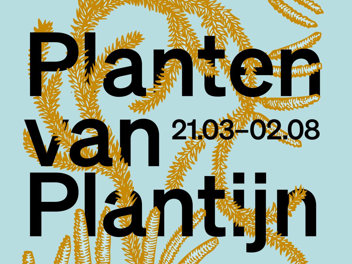 Plantin's Plants
