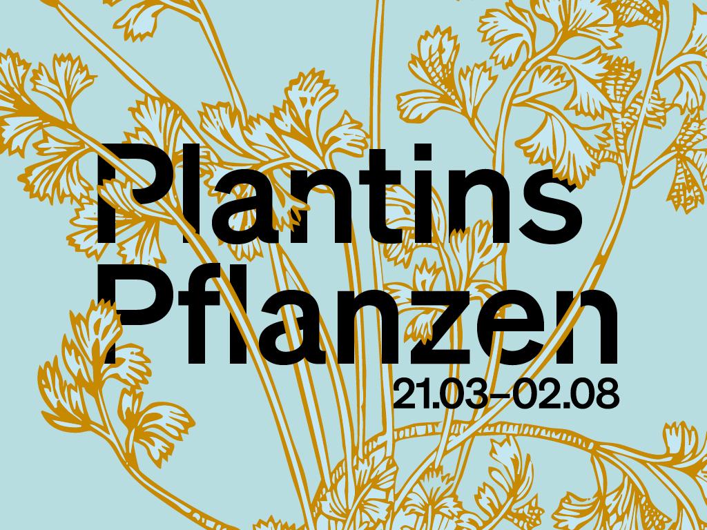 Plantins Pflanzen