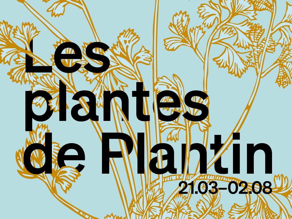 Les plantes de Plantin