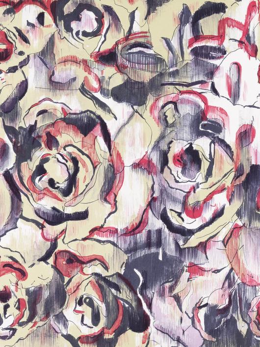 Rudolf Broulim schenkt overzicht lithografische technieken