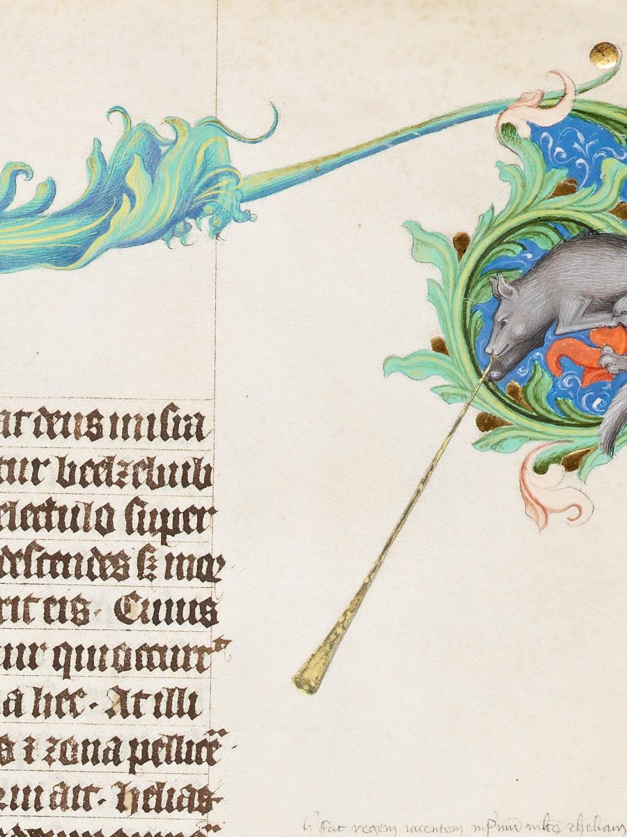 Magnifieke Middeleeuwen