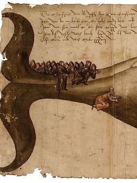 Beached fin whale at Egmond