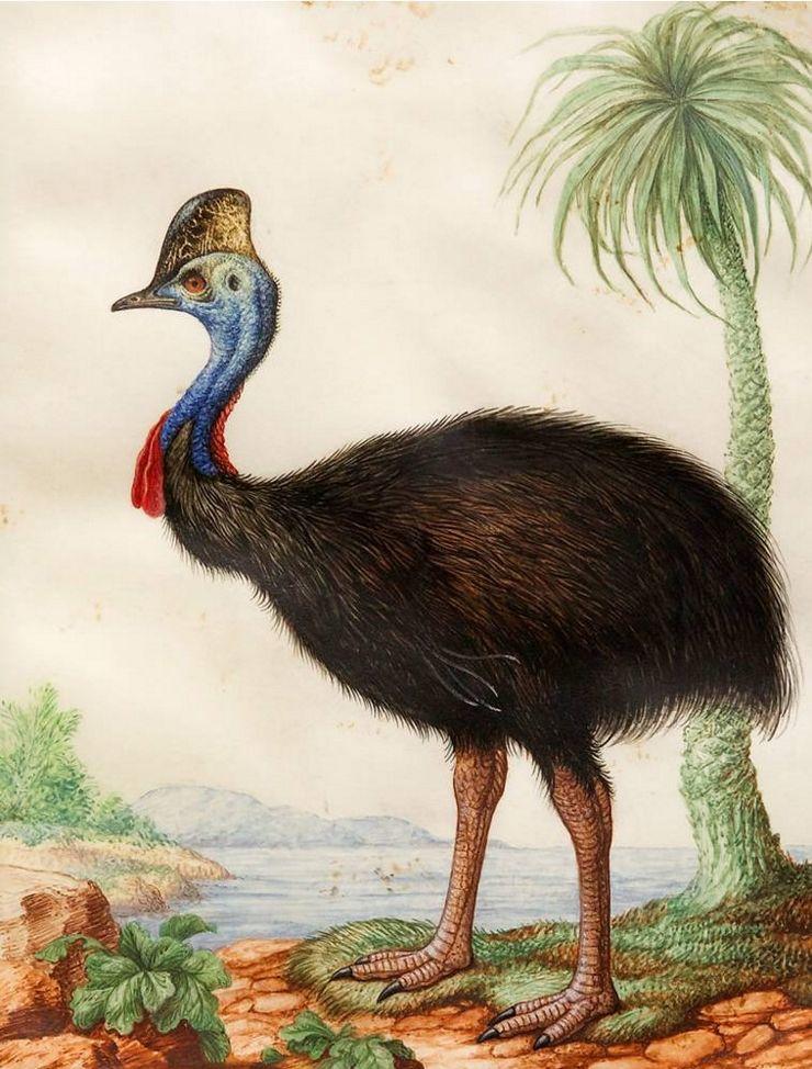 Zonderling? Wonderlijk!