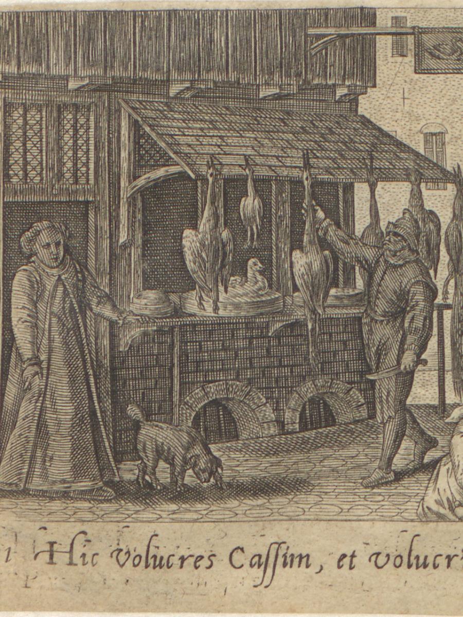 View of the city with poultry market