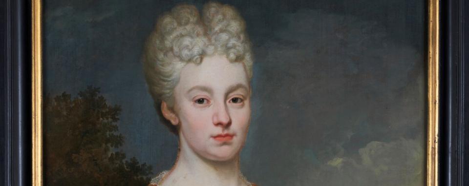 De dagboeken van Theresa Mathilde Schilders