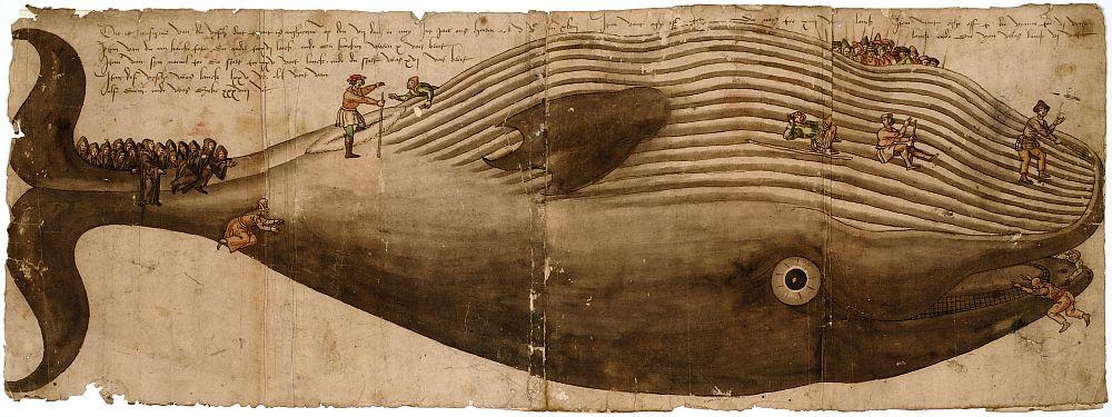 onbekend, Aangespoelde vinvis te Egmond (1547), Museum Plantin-Moretus, Antwerpen